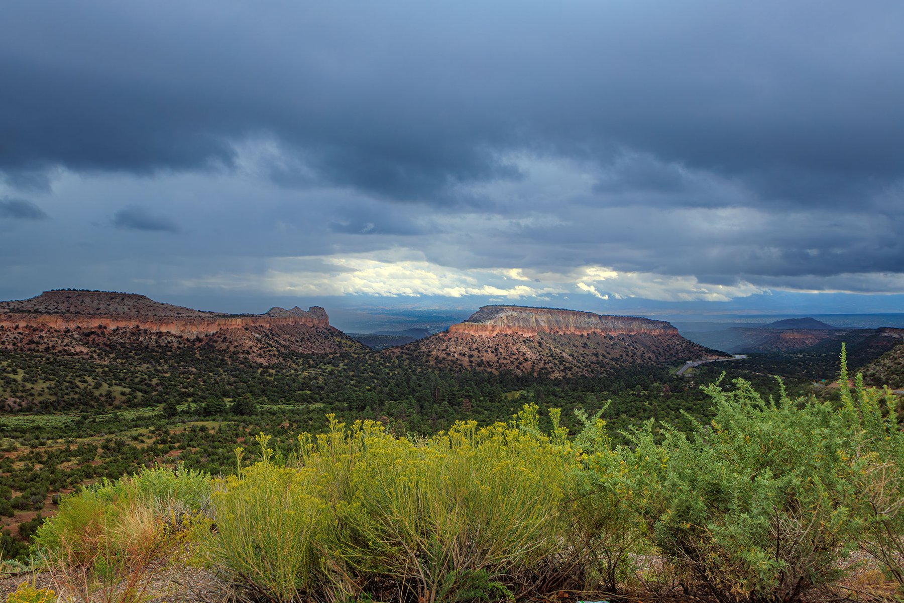 Mesa View