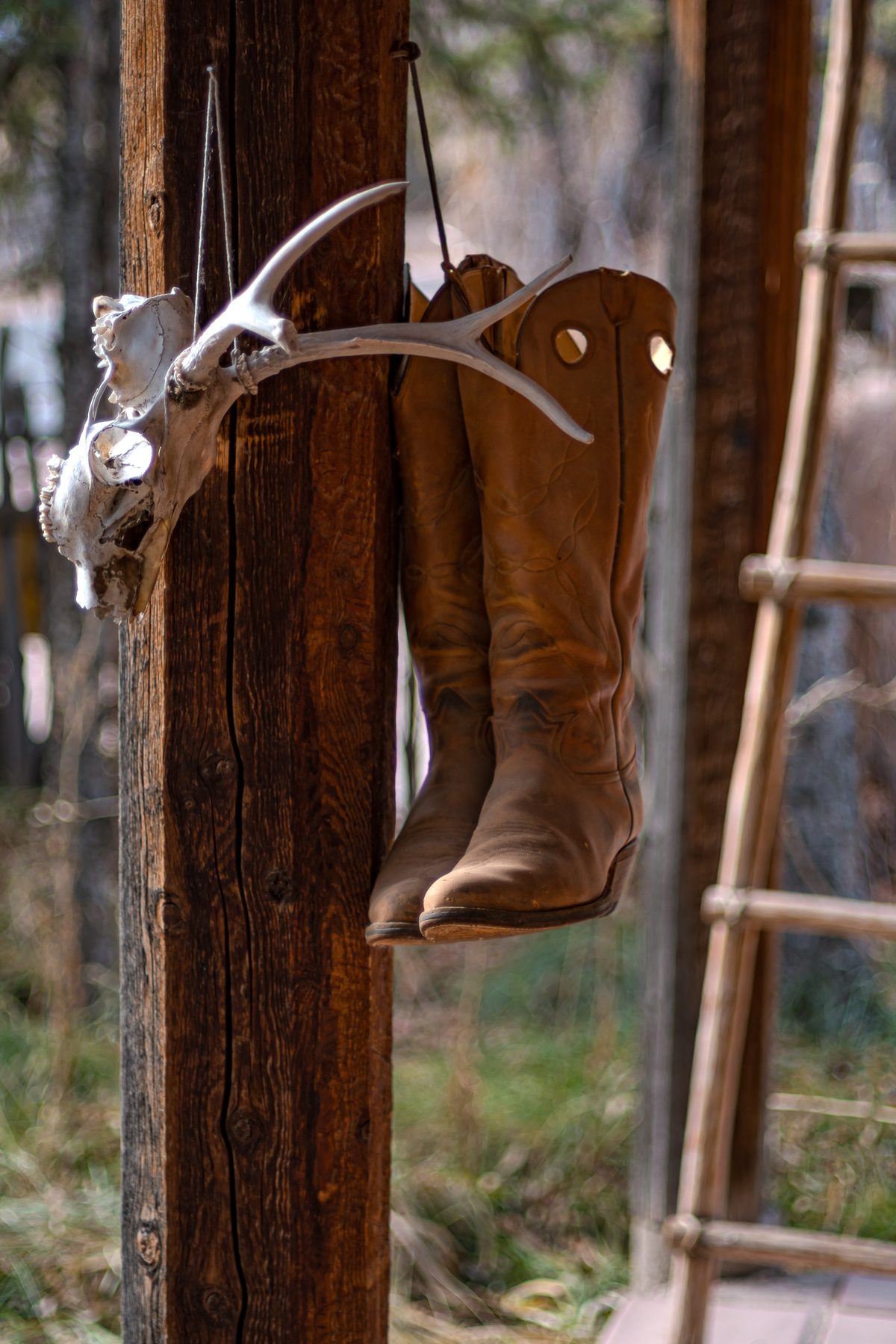 Nambe Boots