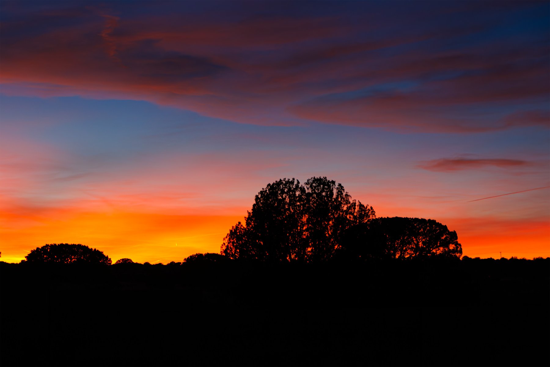 Painted Sunset